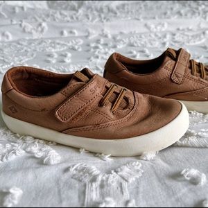 Sperry Spinnaker Shoes